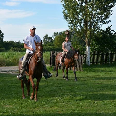 Гостьовий будинок Rural Tourism Family Ravlic Muzilovcica Екстер'єр фото