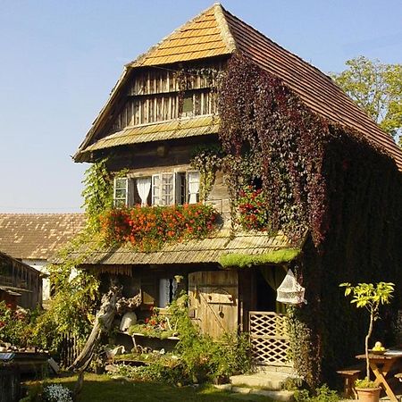Гостьовий будинок Rural Tourism Family Ravlic Muzilovcica Екстер'єр фото