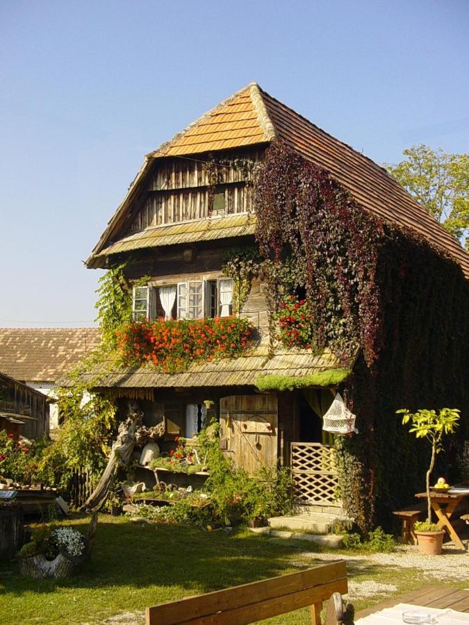 Гостьовий будинок Rural Tourism Family Ravlic Muzilovcica Екстер'єр фото