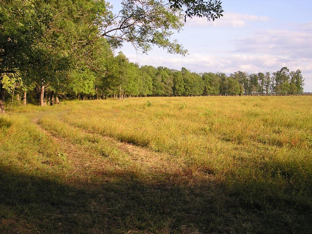 Гостьовий будинок Rural Tourism Family Ravlic Muzilovcica Екстер'єр фото