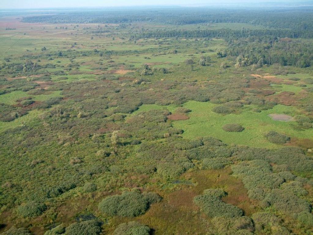 Гостьовий будинок Rural Tourism Family Ravlic Muzilovcica Екстер'єр фото